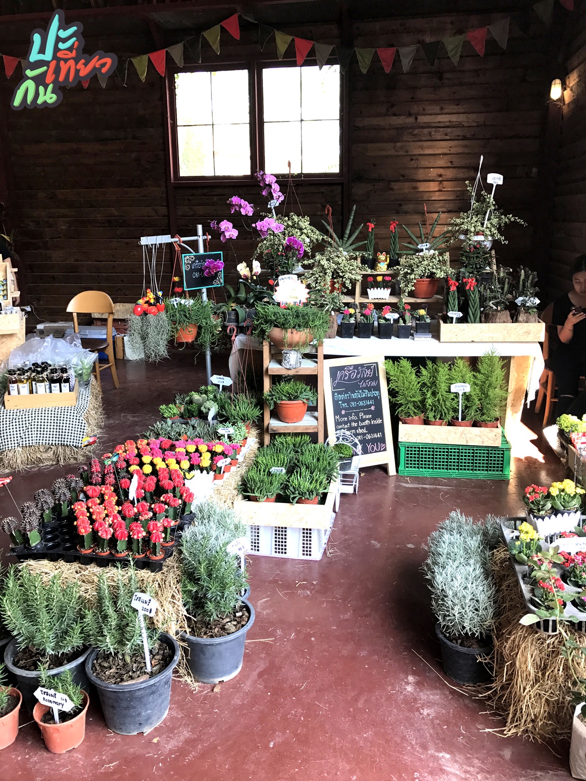 ต้นไม้ ดอกไม้ The Birder's Lodge Farmer's Market