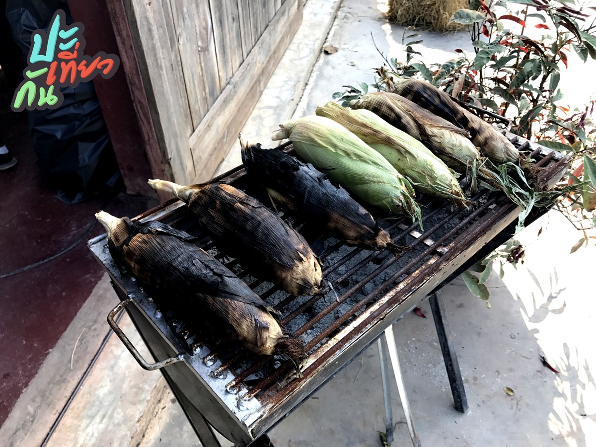 ข้าวโพดปิ้ง The Birder's Lodge Farmer's Market