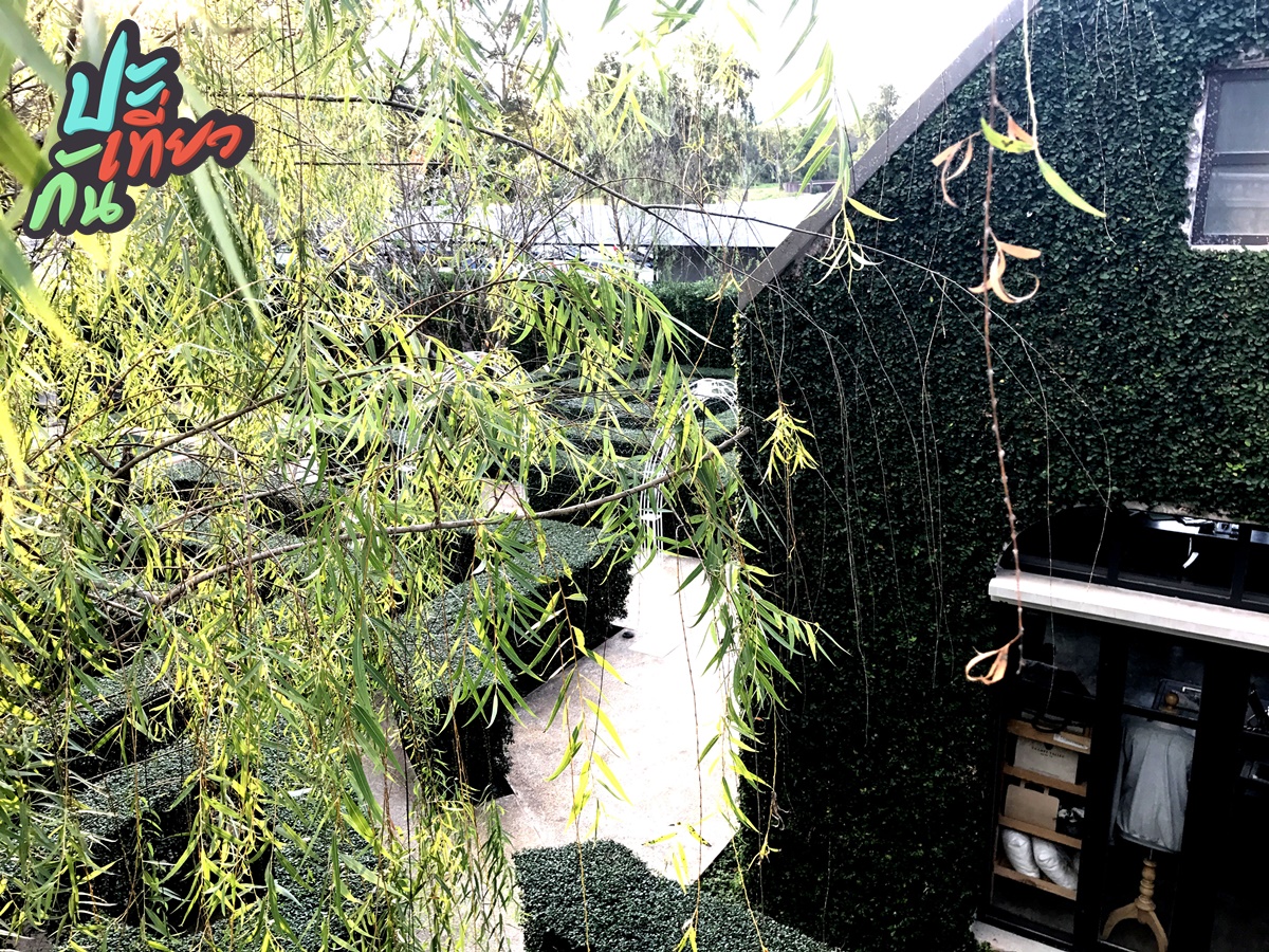 อีกด้าหนึ่งของร้าน THE CASTLE RESTAURANT