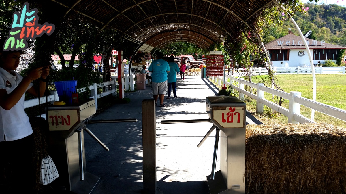 จุดตรวจบัตรผ่าน Swiss Sheep Farm
