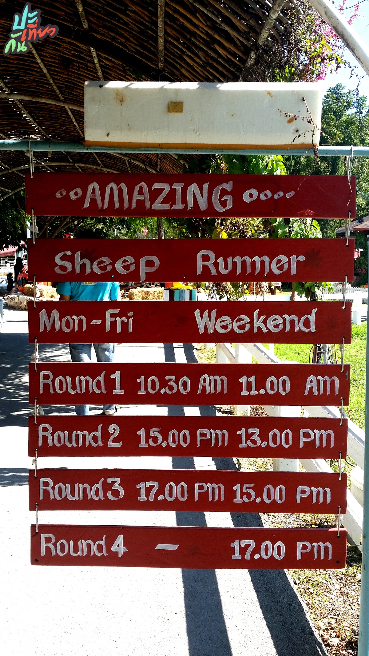 ป้ายบอกรอบการแสดงแกะวิ่ง Swiss Sheep Farm