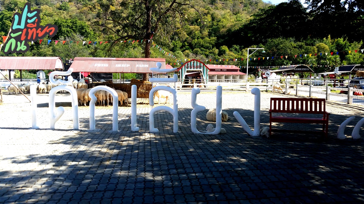 ป้ายเด็กเลี้ยงแกะ Swiss Sheep Farm