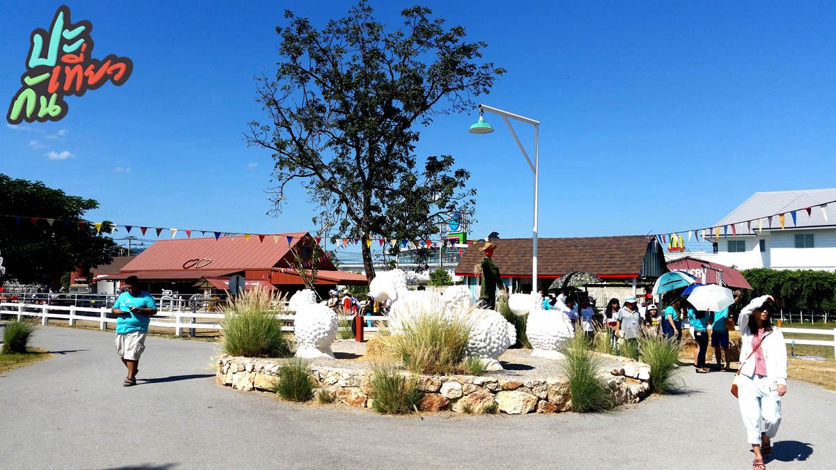วงเวียนแกะ Swiss Sheep Farm