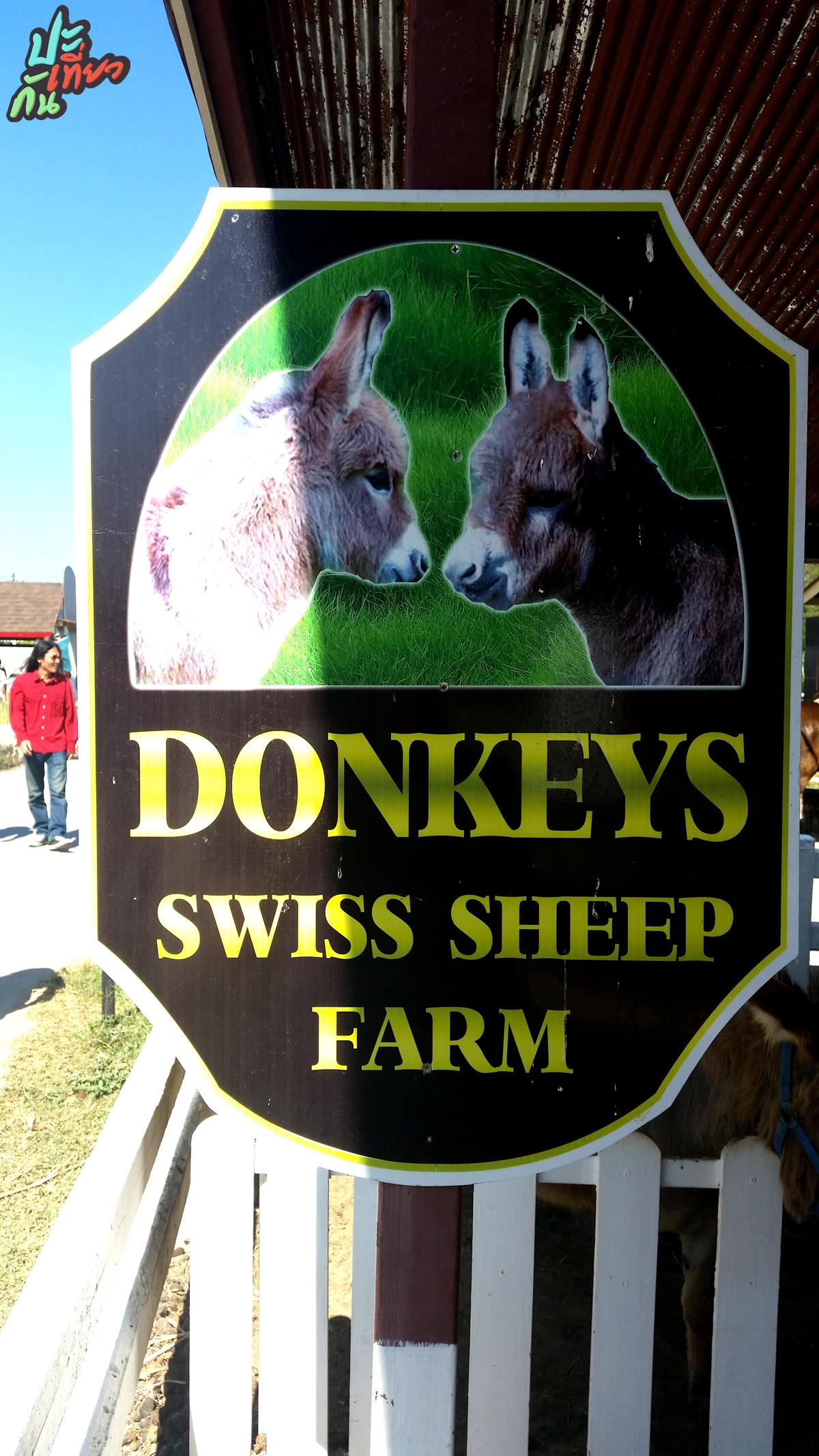 ป้ายบอก Donkeys Swiss Sheep Farm