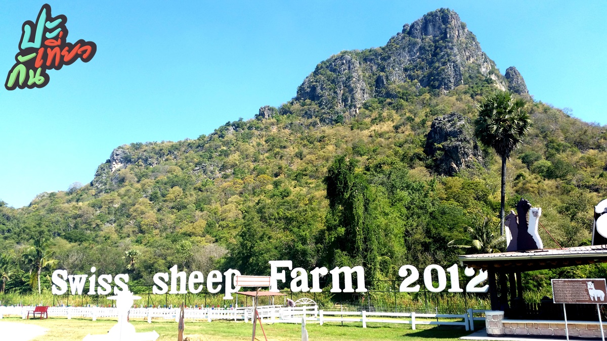 บรรยกาศภูกเขา Swiss Sheep Farm
