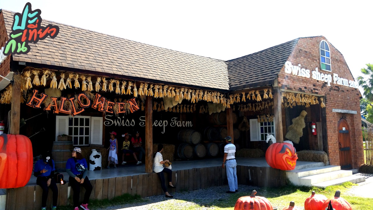 ฟาร์ม Swiss Sheep Farm