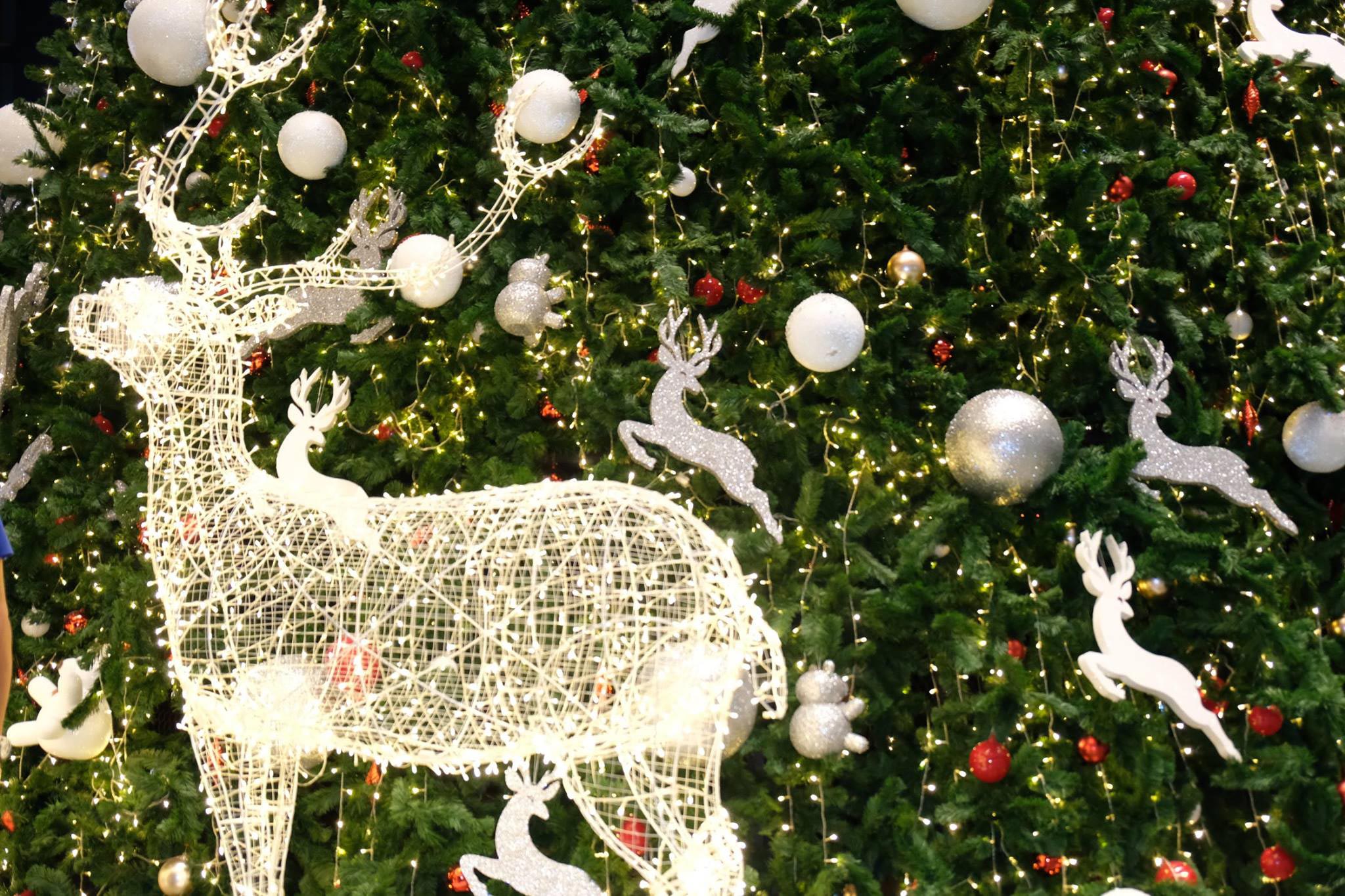 Santa Claus is coming to Megabangna