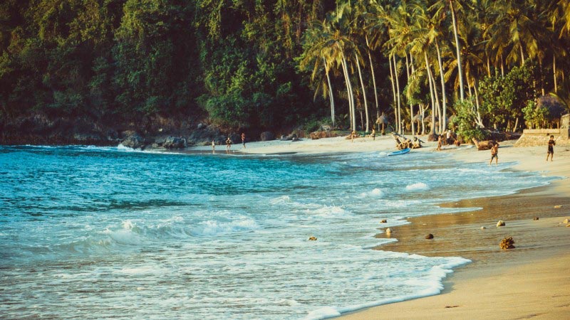 ปาโลมิโน โคลอมเบีย (Palomino, Colombia)