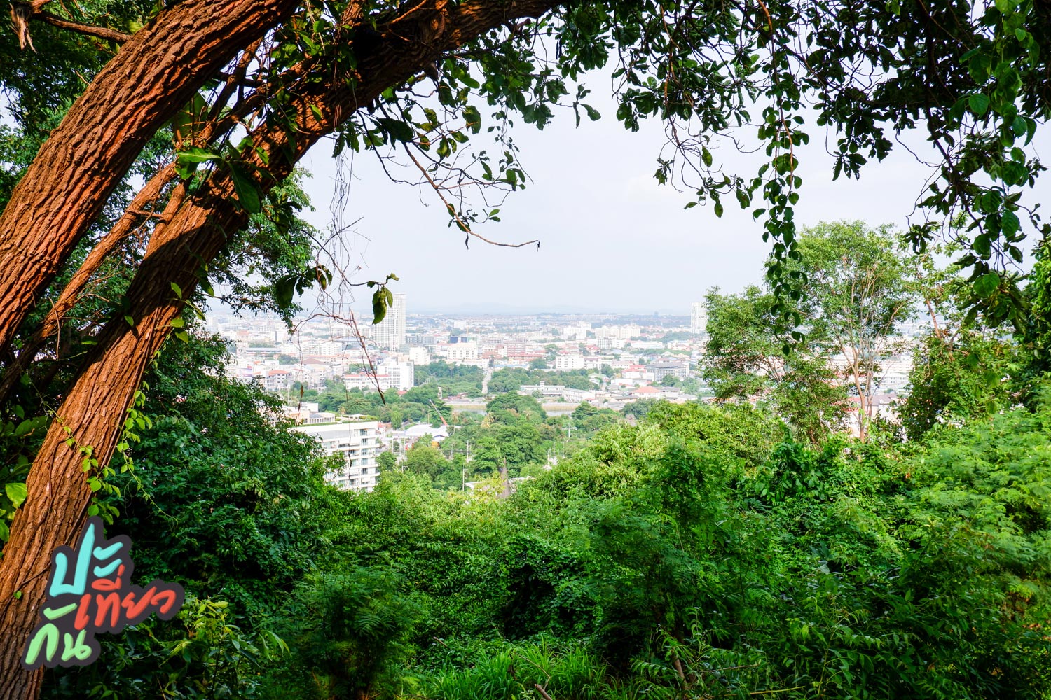 วิวเมืองพัทยา จากสวนเฉลิมพระเกียรติ