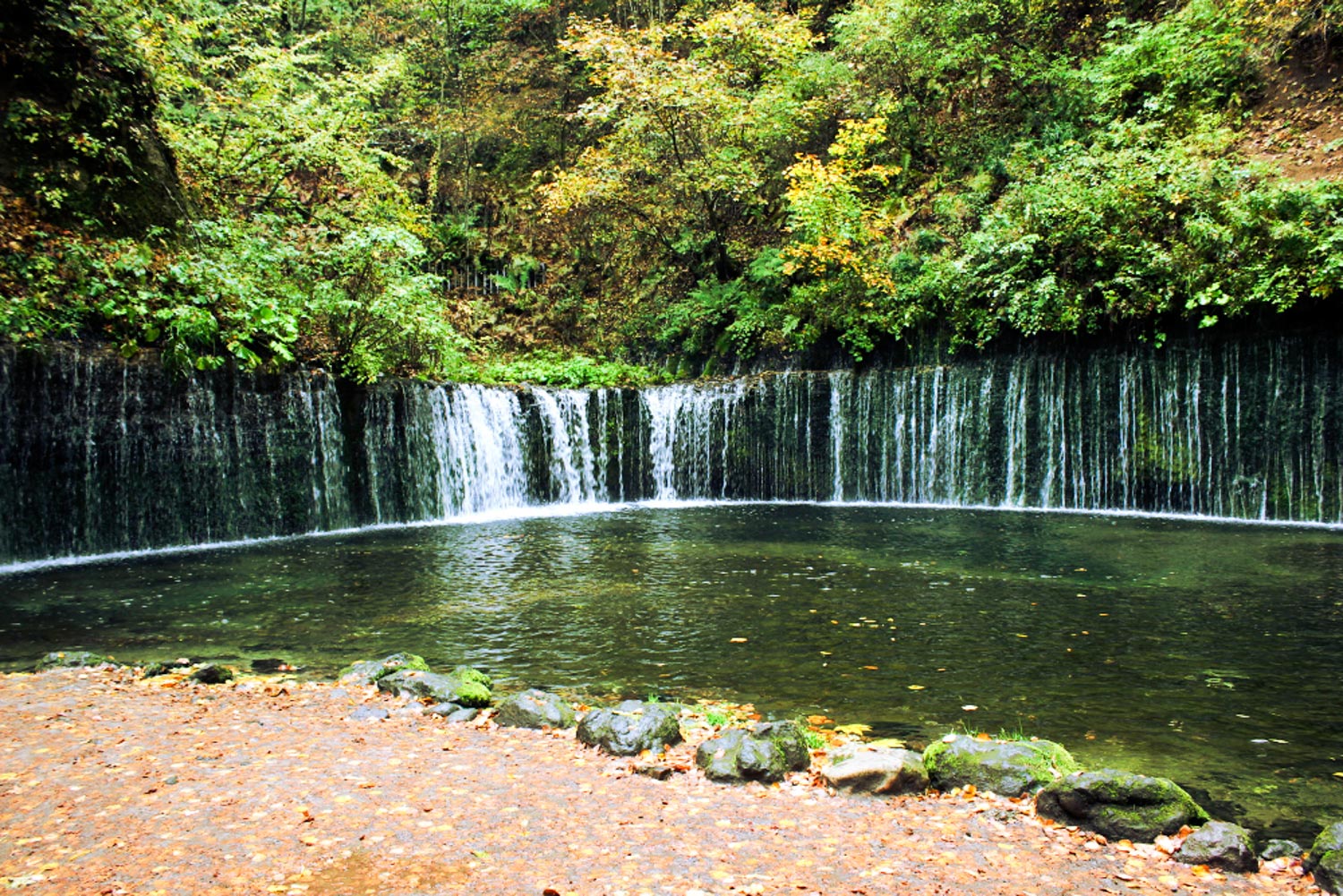 น้ำตกชิราอิโตะ (Shiraito Waterfall) - คารุอิซาว่า (Karuizawa)