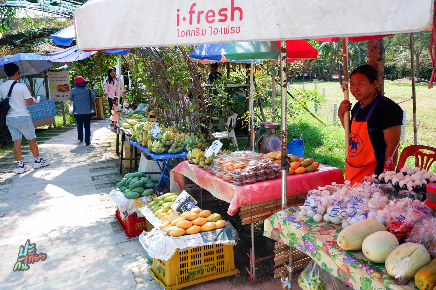 ร้านค้า มินิมูร่าห์ฟาร์ม