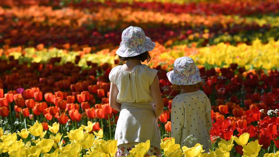 Mainau Flower Island (เกาะดอกไม้ไมเนา)