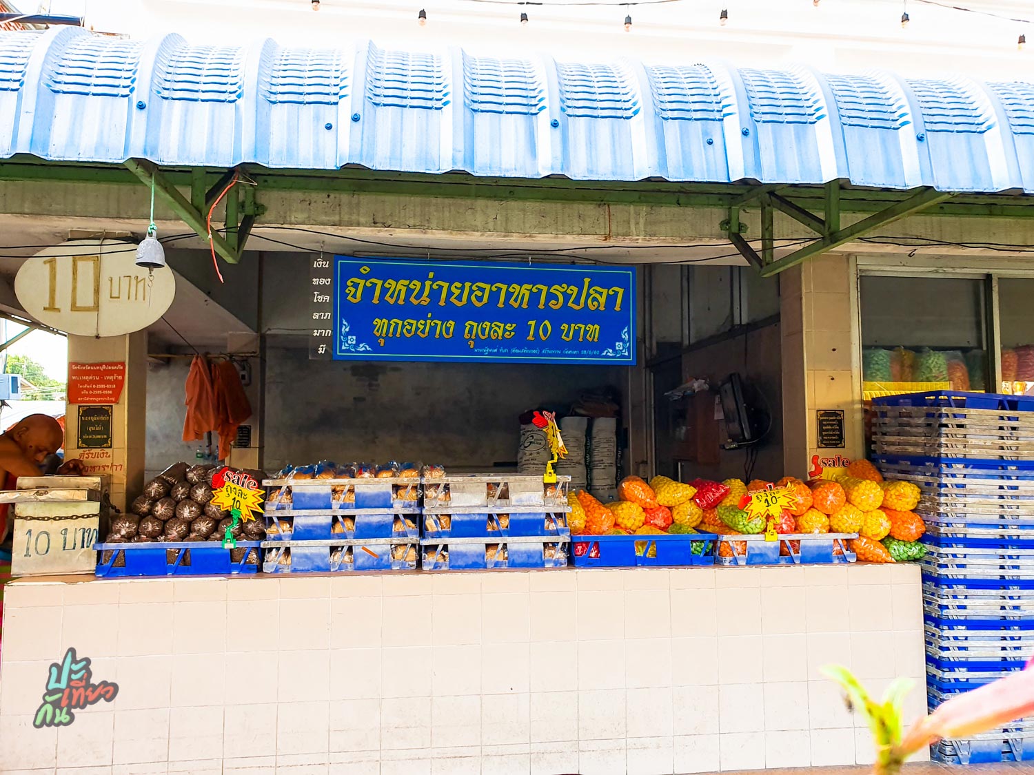 ร้านจำหน่ายอาหารปลา ภายในวัด