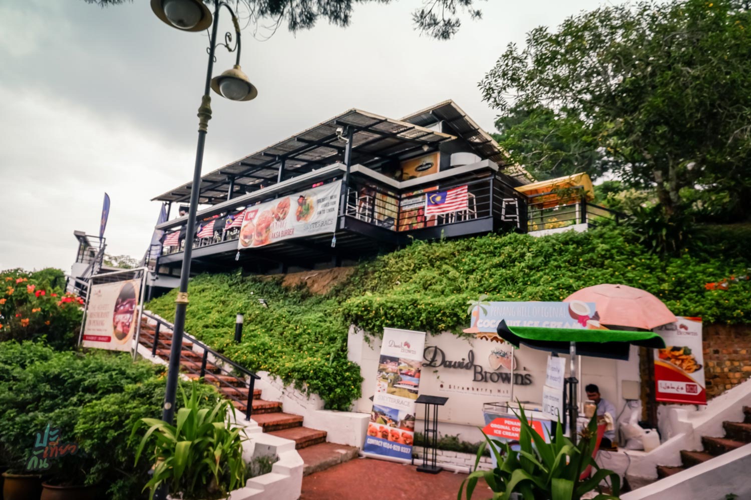 ร้าน David Brown's Restaurant & Tea Terrace