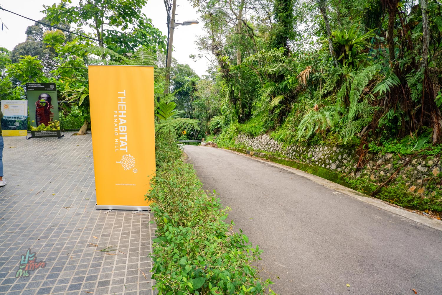 ป้าย The Habitat Penang Hill