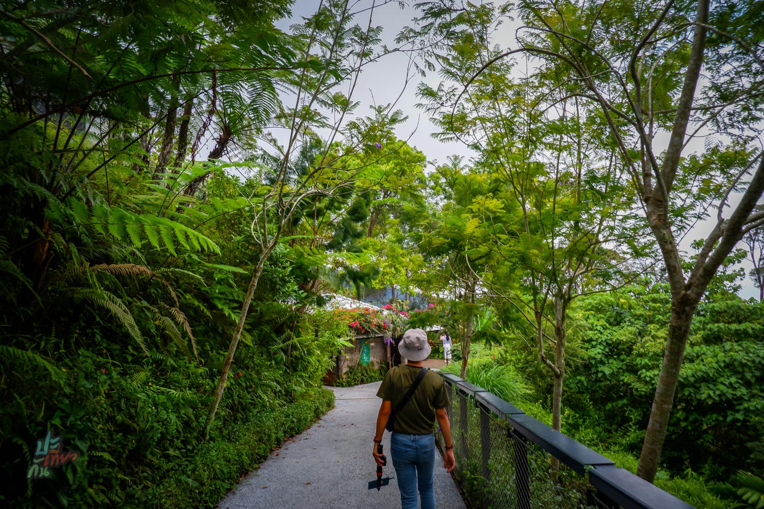 ทางผ่านไปยัง The Habitat
