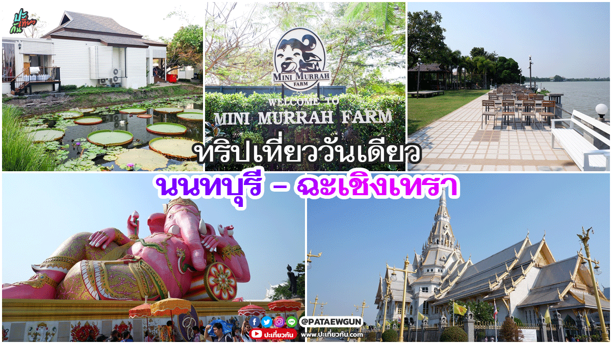 ทริปไปเที่ยว: นนทบุรี - ฉะเชิงเทรา 1 day trip เที่ยวเองแบบไม่มีรถส่วนตัว