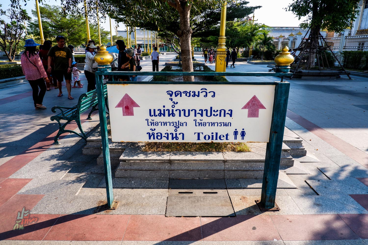 ทางเดินไปยังแม่น้ำบางปะกง