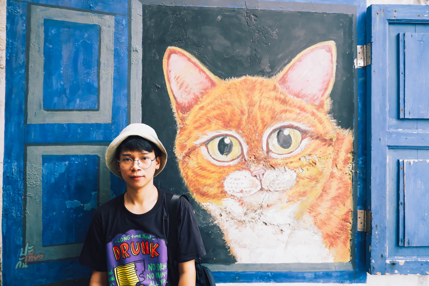 Street Art แมวหน้าต่าง