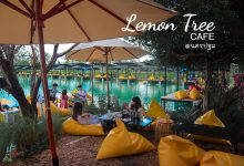 Lemon Tree Cafe ค่าเฟ่ริมทะเลสาป ใกล้กรุงเทพ