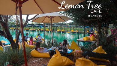 Lemon Tree Cafe ค่าเฟ่ริมทะเลสาป ใกล้กรุงเทพ