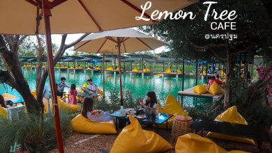 Lemon Tree Cafe ค่าเฟ่ริมทะเลสาป ใกล้กรุงเทพ