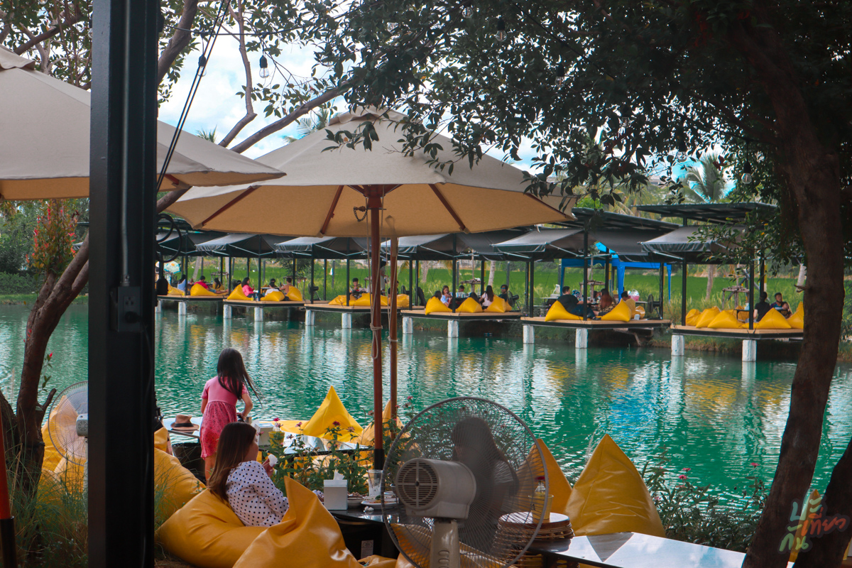 ที่นั่ง Lemon Tree Cafe
