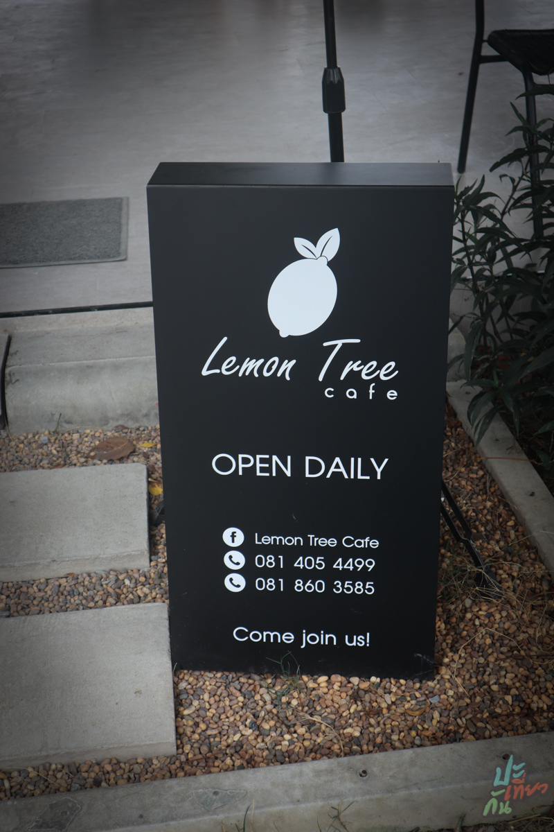 ป้ายร้าน Lemon Tree Cafe