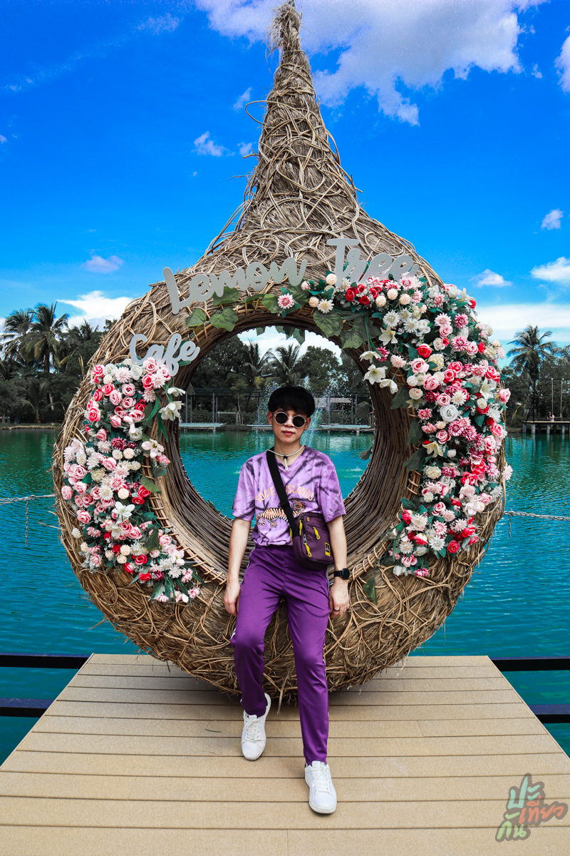 ถ่ายรูปกับรังนก Lemon Tree Cafe